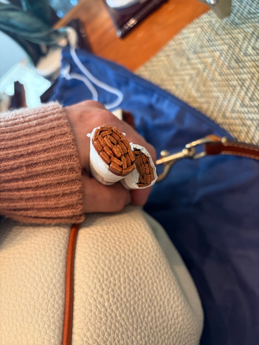Dooney & Bourke Cream Satchel with Tan Trim - Picture 14 of 14